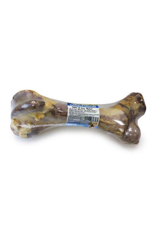 Arquivet hueso-de-buey