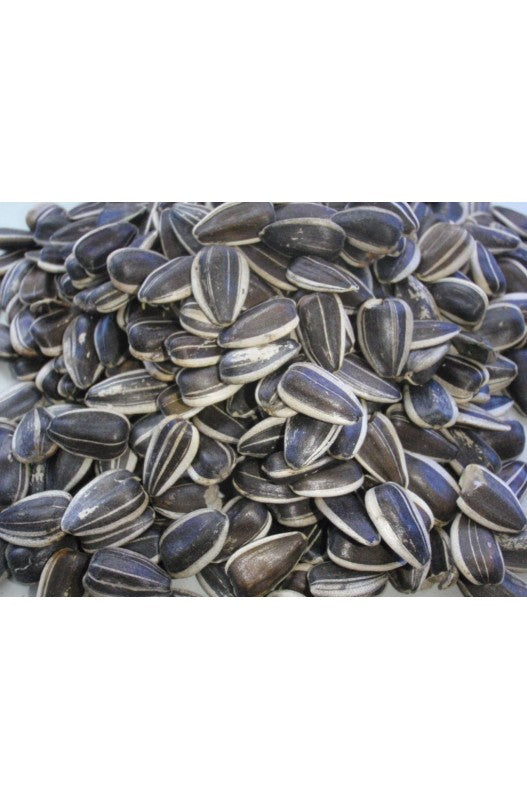 Bolsa PIPAS GIRASOL ARGENTINAS 20 KG.