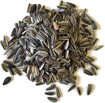 PIPAS IREGUI VINCI 15 KG.