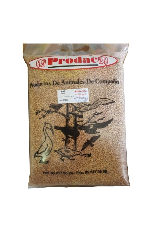 TRIGO 5 KG.PRODAC - Botega Mazarol