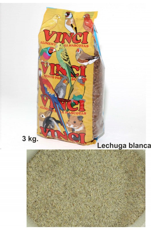 Lechuga blanca fresca Prodac, presentada en un formato de 3 kg, ideal para complementar una dieta equilibrada.
