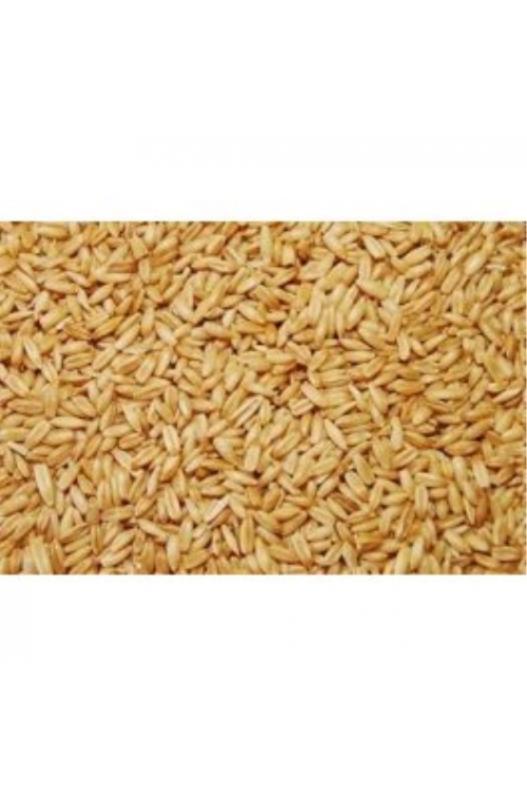 VINCI AVENA PELADA 1 - 5 -25 KG - Botega Mazarol