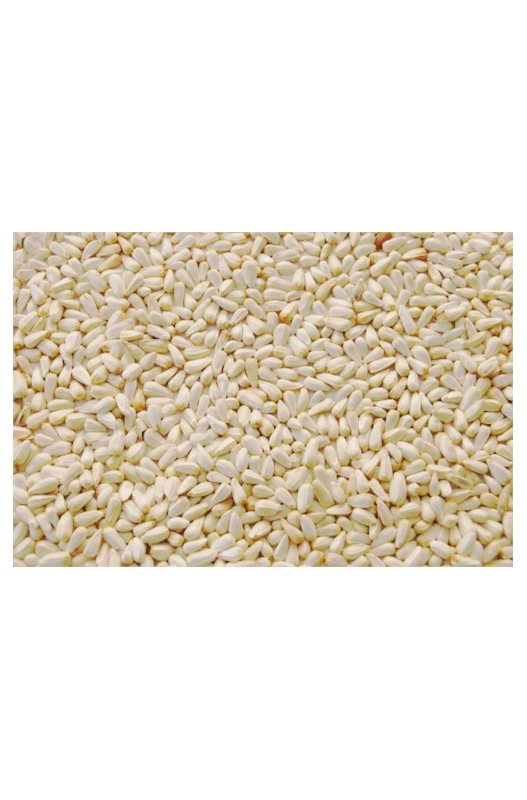 Alazor Prodac 3.5 kg Bolsa, mezcla de semillas especialmente formulada para aves, proporcionando una fuente equilibrada de nutrientes esenciales que favorecen la salud, el bienestar y el plumaje de las aves. Ideal para la alimentación diaria.







