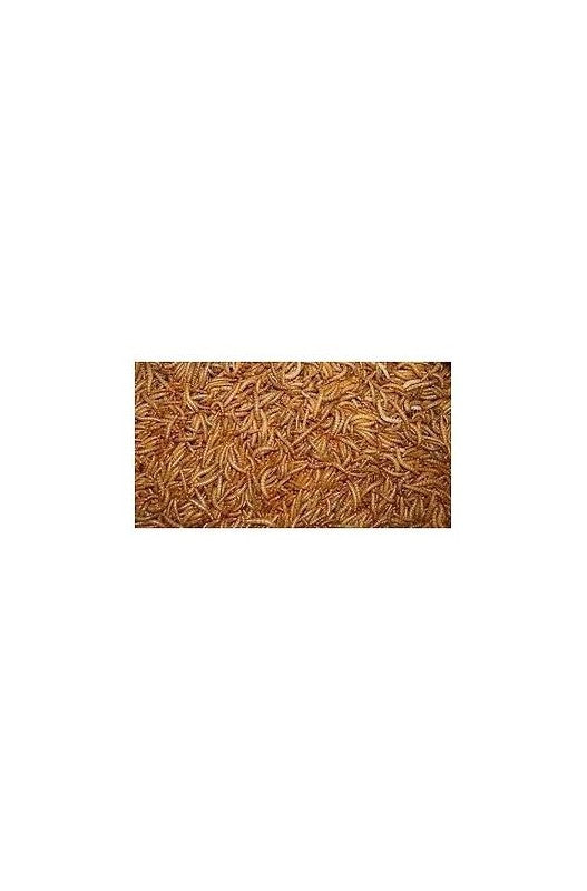 Bolsa GUSANOS DE LA HARINA 1 kg. Bolsa Prodac