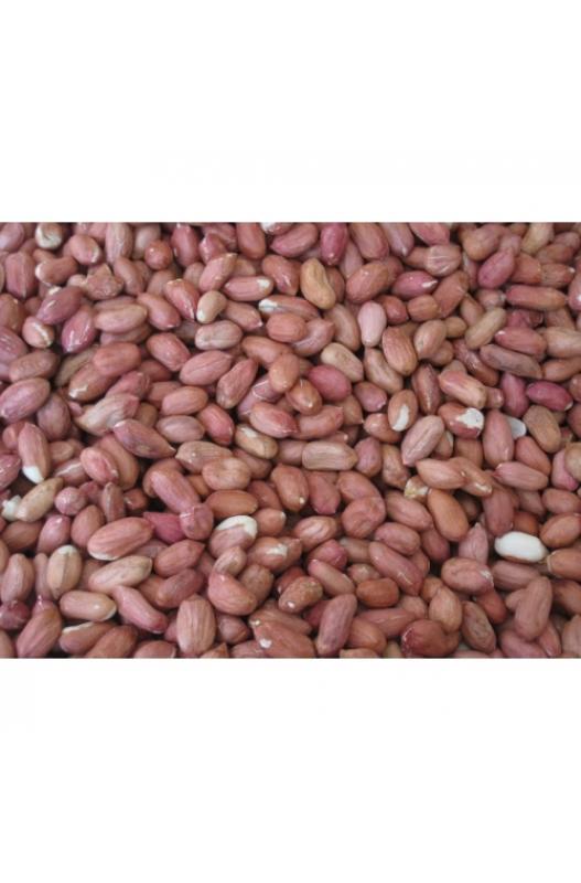una bolsa muy grande, ¡de 25 kilos!, llena de cacahuetes a los que ya les han quitado la cáscara. ¡Así no tienes que pelarlos tú! Son cacahuetes que vienen de Estados Unidos. Los cacahuetes son un alimento rico y a veces se les da a algunos animales como pajaritos o pequeños roedores como un premio especial. ¡Es como una bolsota de snacks listos para comer! 