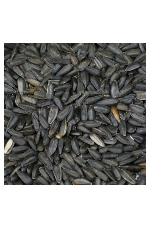 Saco Pipas Negras 15 kg Prodac, semillas de girasol seleccionadas de alta calidad, ideales para aves, proporcionando una fuente rica en grasas saludables y energía, perfecta para mantener la vitalidad y el bienestar de las aves.