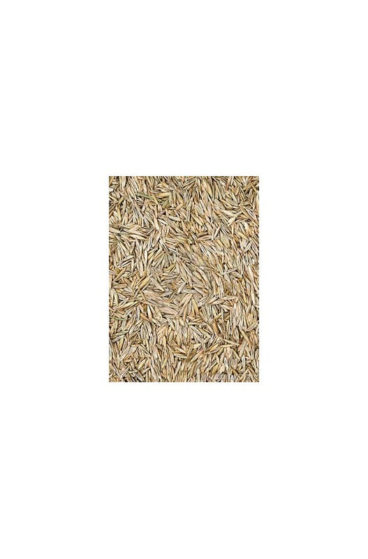 Saco de 20 kg de Césped, semilla natural ideal para aves, proporcionando una fuente adicional de fibra y nutrientes esenciales