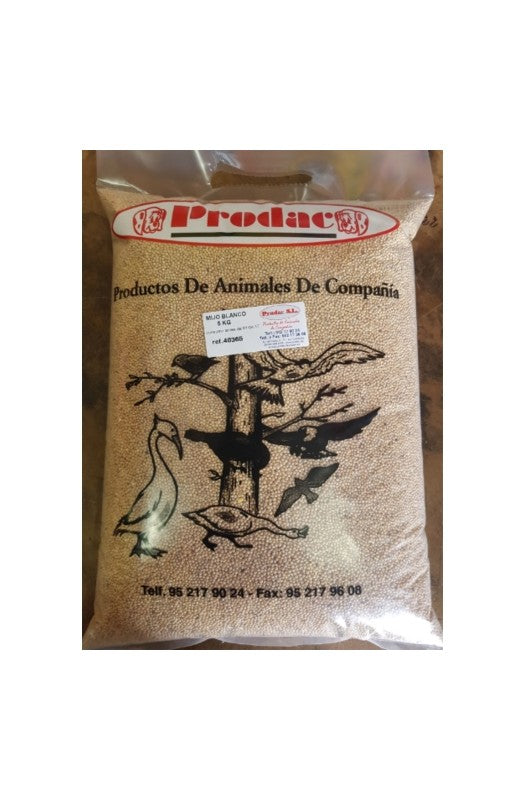 Saco de 5 kg de Mijo Blanco Prodac, semilla nutritiva y rica en carbohidratos, ideal para aves exóticas y canarios, proporcionando una fuente natural de energía y apoyo para su desarrollo