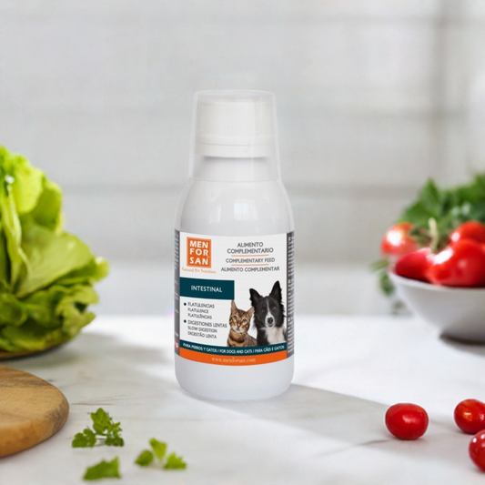 MENFORSAN Suplemento alimenticio intestinal 120 ml – Alimento complementario para promover una digestión saludable en aves y otros animales