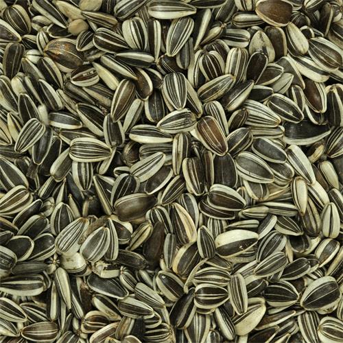 Bolsa PIPAS IREGUI VINCI  600 GR