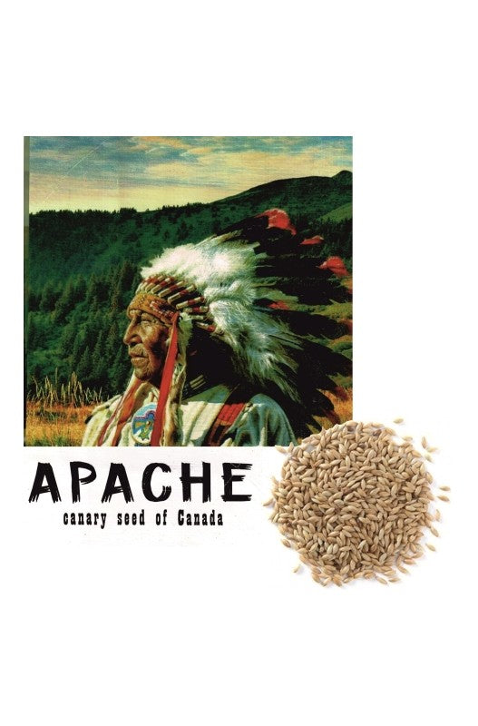 ALPISTE CANADA APACHE 25 KG - Semillas de alpiste de alta calidad para aves, ideal para canarios y otros pájaros, en saco de 25 kg para una alimentación saludable y equilibrada