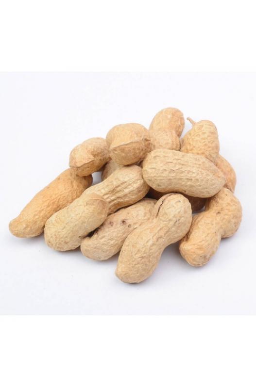 Estos son cacahuetes grandes que todavía tienen su cáscara. ¡Vienen muchísimos en una bolsa de 20 kilos!

