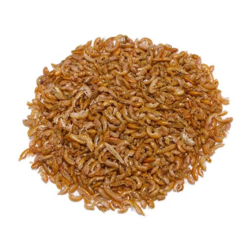 Gammarus deshidratado para peces y mascotas acuáticas, fuente natural de proteínas y nutrientes