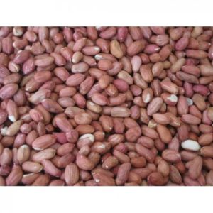 CACAHUETES_PELADO_USA_25_Kg Cacahuetes Pelados USA 25 kg | Alimento natural y nutritivo para aves y animales 🐦🌰