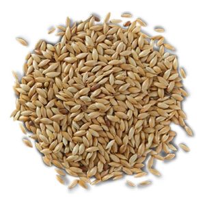 D_897393-MLM76945345765_062024-C VINCI PANIZO EN GRANO 500gr - 25kg