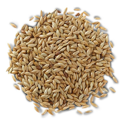 VINCI PANIZO EN GRANO 500gr - 25kg