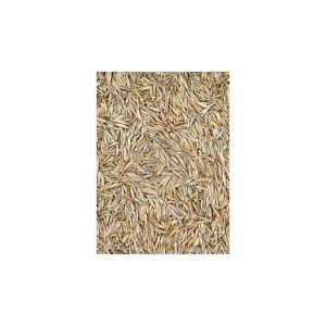 Saco_de_20_kg_de_C_sped Saco de 20 kg de Césped, semilla natural ideal para aves, proporcionando una fuente adicional de fibra y nutrientes esenciales
