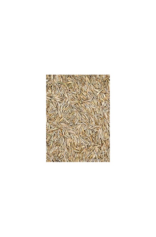 Saco de 20 kg de Césped, semilla natural ideal para aves, proporcionando una fuente adicional de fibra y nutrientes esenciales