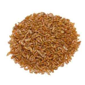 gammarus Gammarus deshidratado para peces y mascotas acuáticas, fuente natural de proteínas y nutrientes
