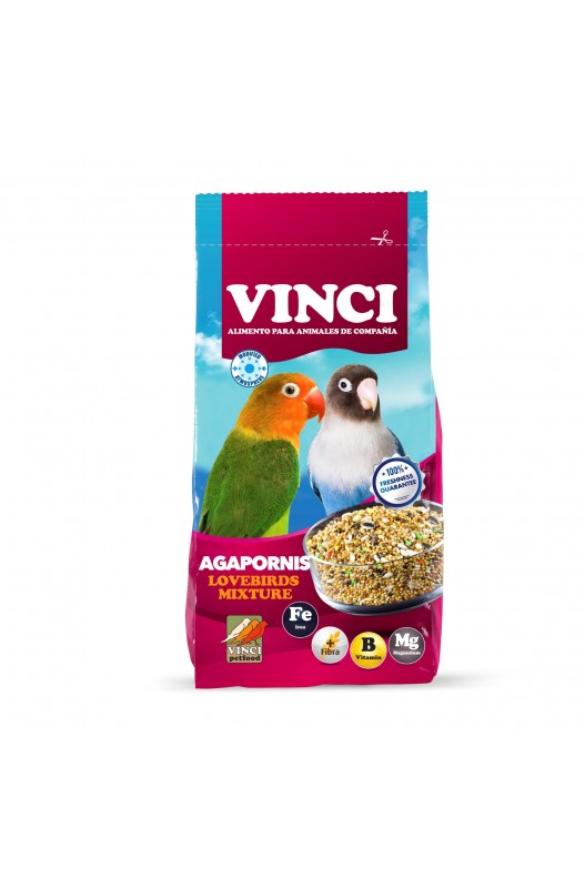 VINCI AGAPORNIS