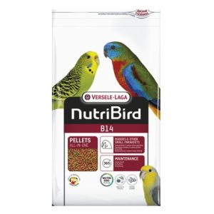 NutriBird B14 Maintenance, alimento extruido completo para periquitos, agapornis y aves pequeñas. Fórmula equilibrada con mijo, frutas, vitaminas y minerales, favorece digestión, plumaje brillante y huesos fuertes