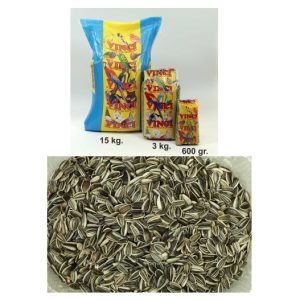 pipas-iregui-vinci VINCI PIPAS IREGUI