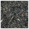 PRODAC PIPAS NEGRAS 2.5kg - 15kg