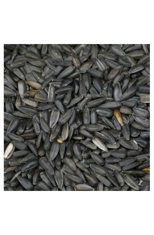 PRODAC PIPAS NEGRAS 2.5kg - 15kg