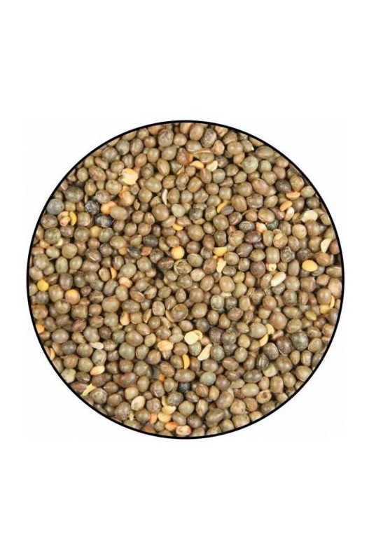 VINCI SEMILLAS VEZA 5kg - 25kg