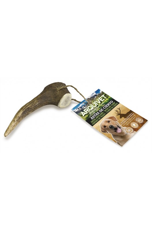 asta-de-ciervo-m-40-75-gr Arquivet asta de ciervo