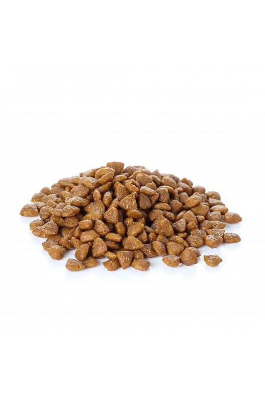 BANTERS DOG ADULT LARGE BREED 15 KG.