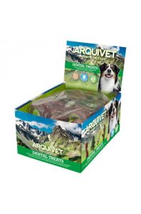 Arquivet Dental treat