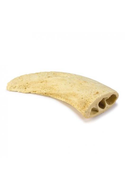 Arquivet Núcleo de cuerno (Bolsa 1 unidad)