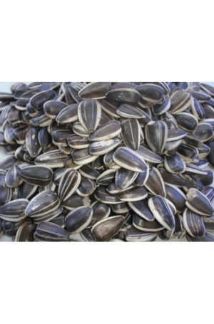 PIPAS GIRASOL ARGENTINAS 20 KG
