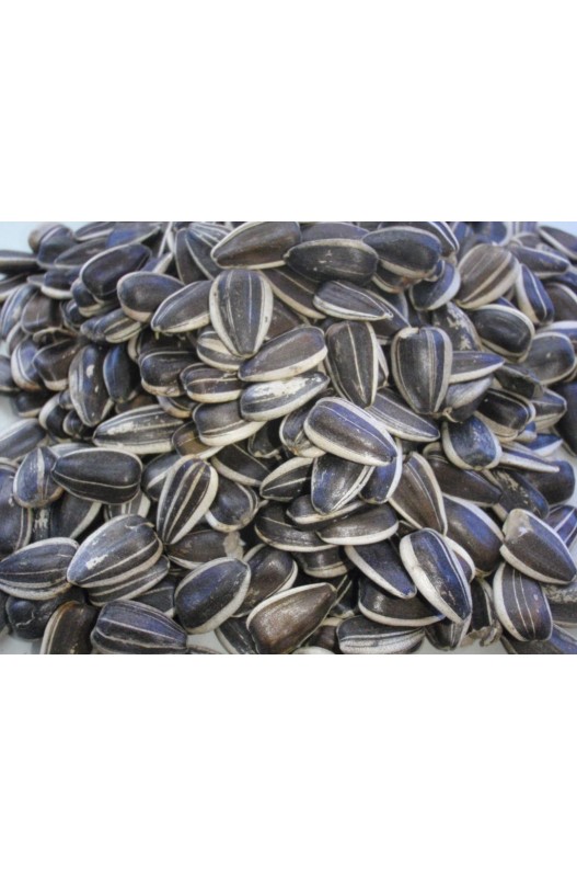 PIPAS GIRASOL ARGENTINAS 20 KG