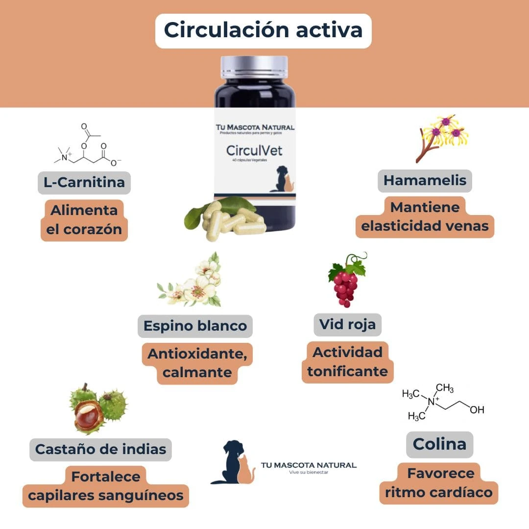 CirculVet – Circulación Activa para Mascotas