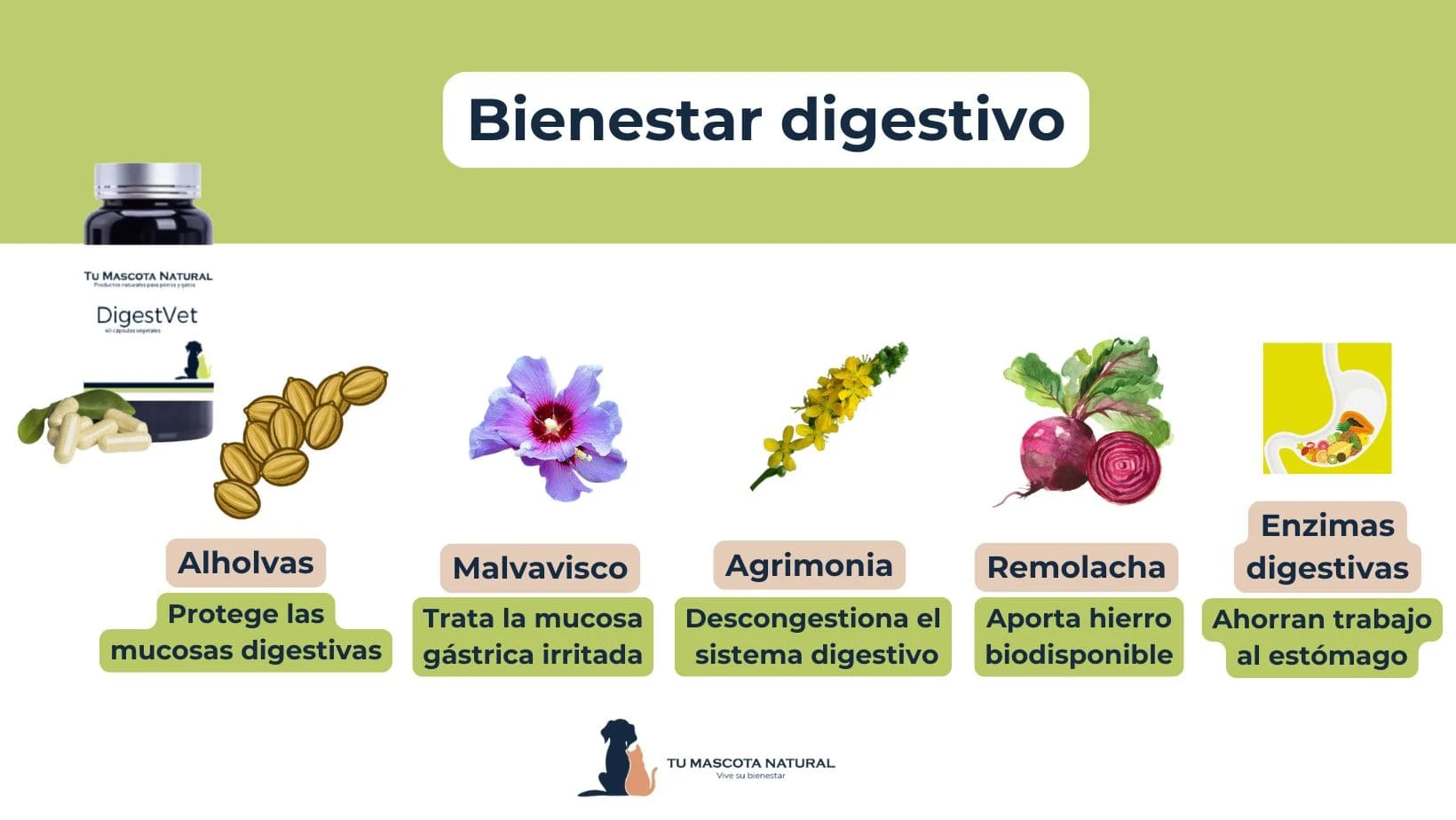 DigestVet – Suplemento Natural