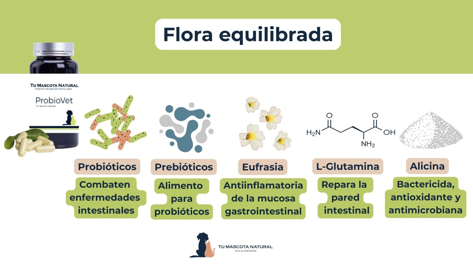 Probiovet – Suplemento Natural