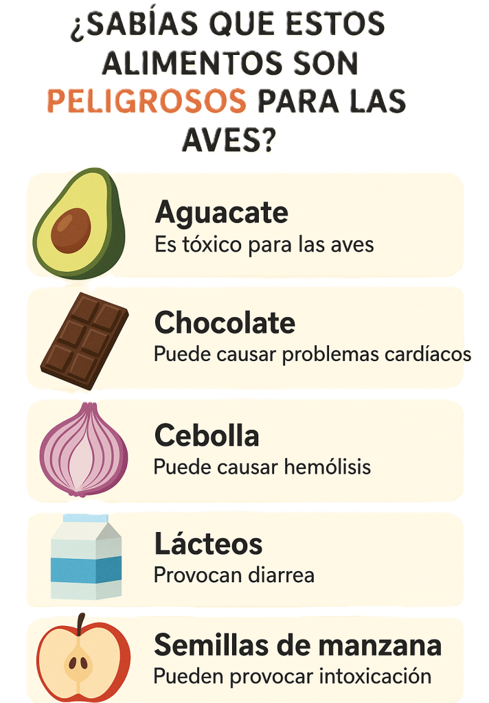 alimentacion aves