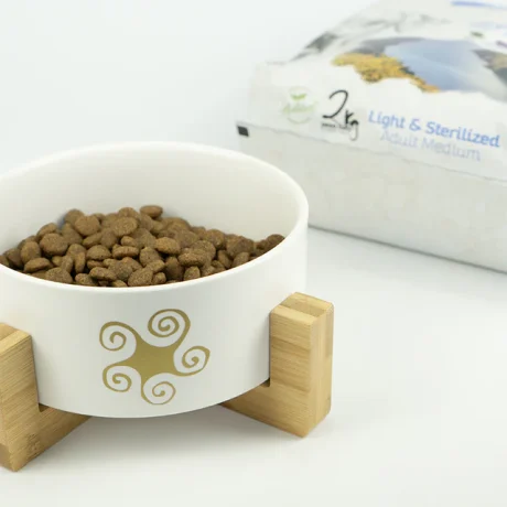 Lenda Perros Medium Light