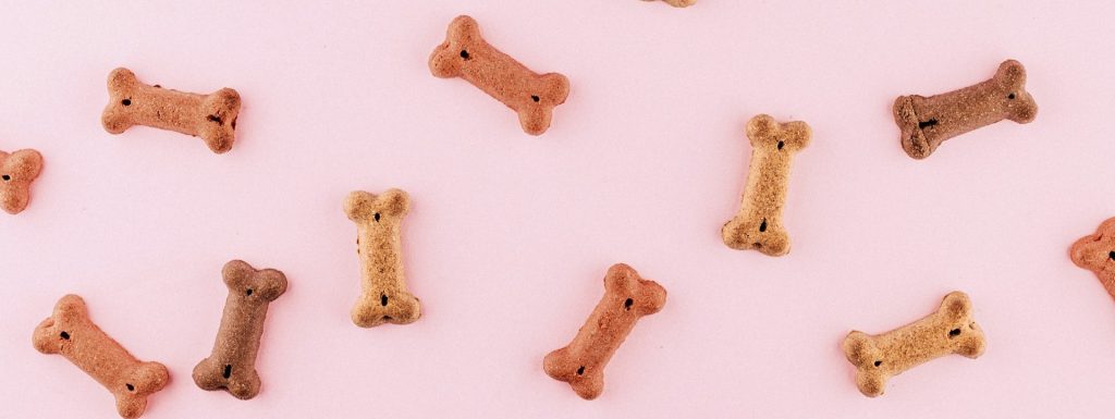 chuches para mascotas